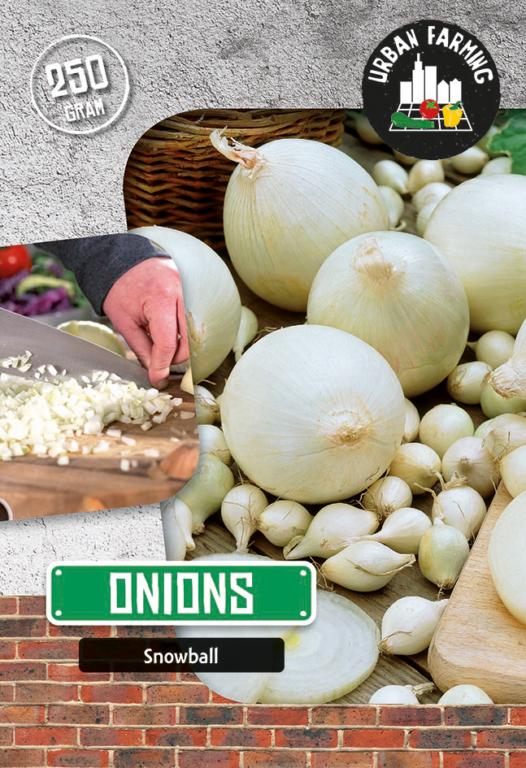 Onion Snowball