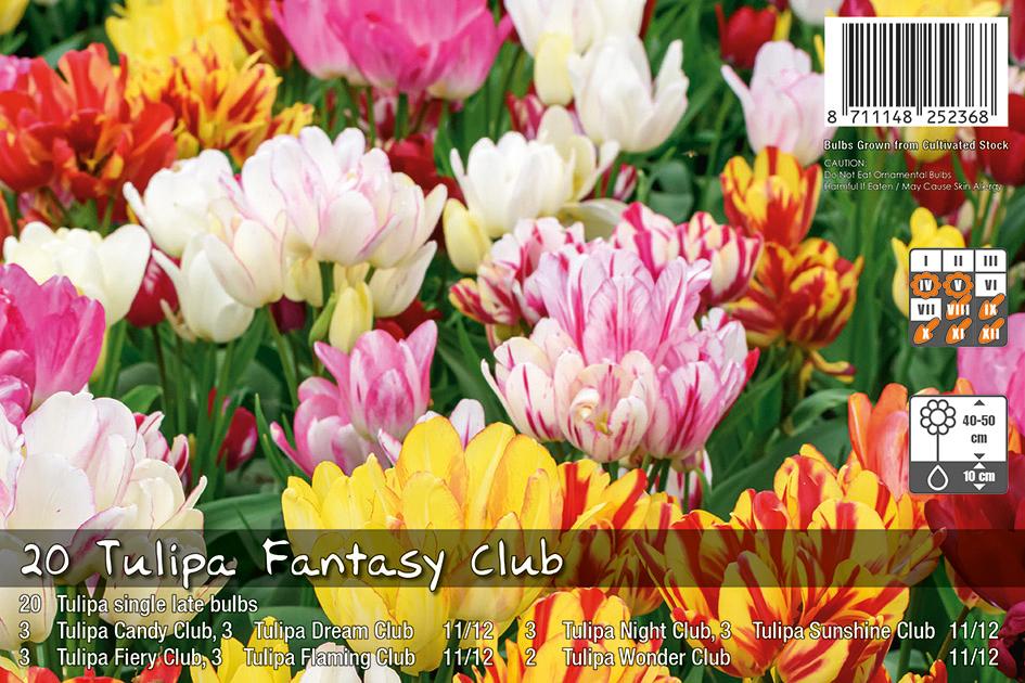 Tulipa Fantasy Club