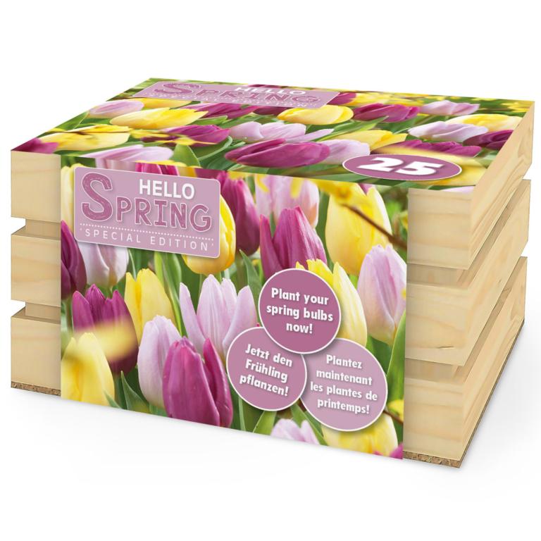 Hello Spring! Pastel Mix