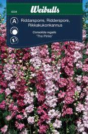 Riddersporer 'The pinks'