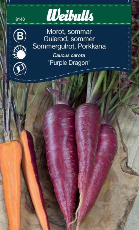 Gulerod, sommer- 'Purple Dragon'