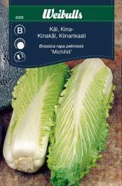 Kål kinesisk 'Michihili Cantoner'