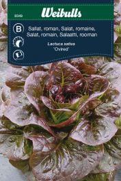 Salat, romanie 'Ovired'