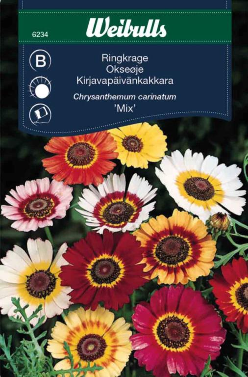 Okseøje 'Mix'