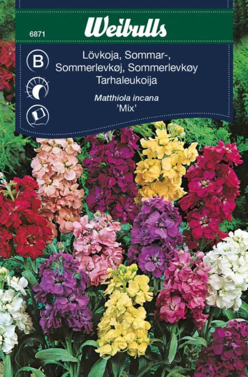 Levkøj, sommer, mix