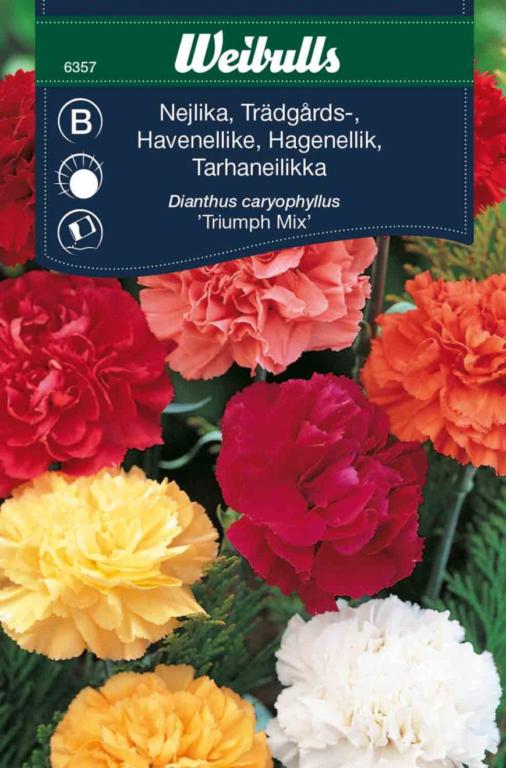 Nellike, have, mix 'Triumph'