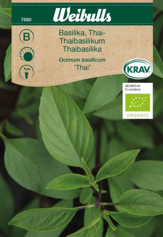 Basilikum 'Thai' ØKO