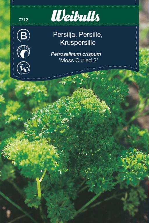 Persille, krus 'Moss Curled 2'