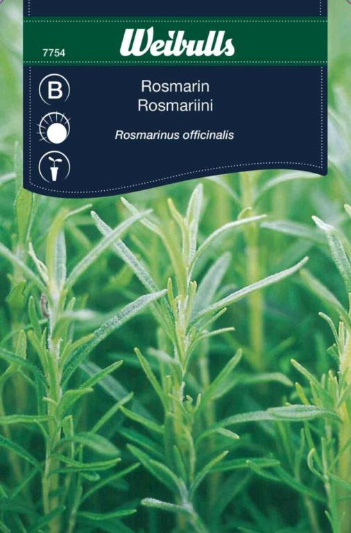 Rosmarin