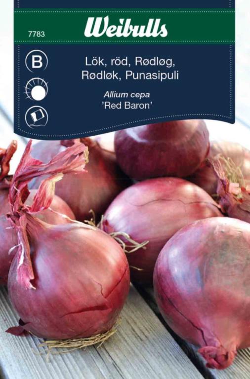 Løg, rød  'Red Baron'