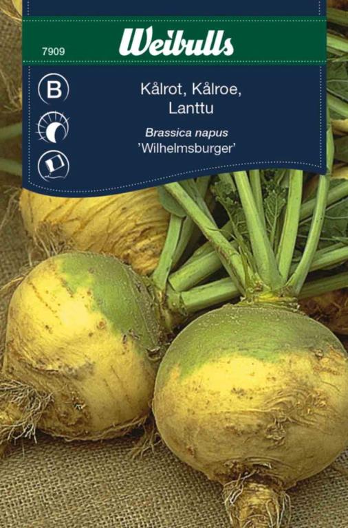 Kålroe 'Wilhelmsburger'