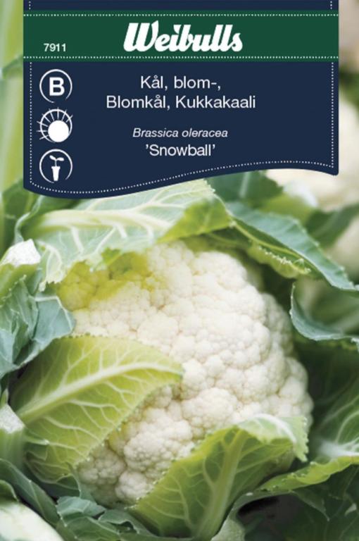 Kål blomkål 'Snowball'