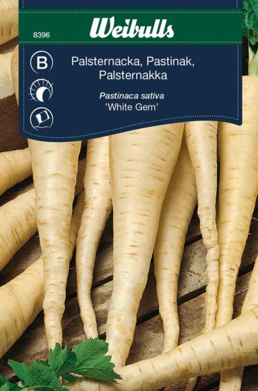 Pastinak 'White Gem'