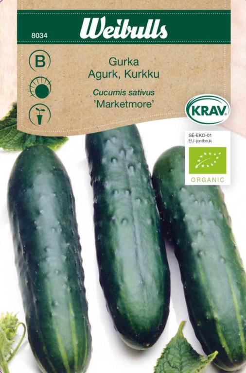 Agurk 'Marketmore' ØKO