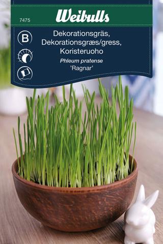 Græs,- dekoration 'Ragnar'