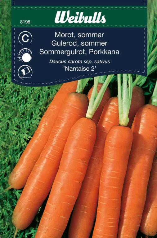 Gulerod sommer 'Nantaise 2'