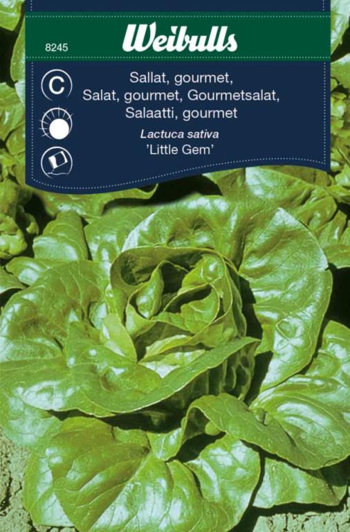 Salat gourmet *Little Gem'