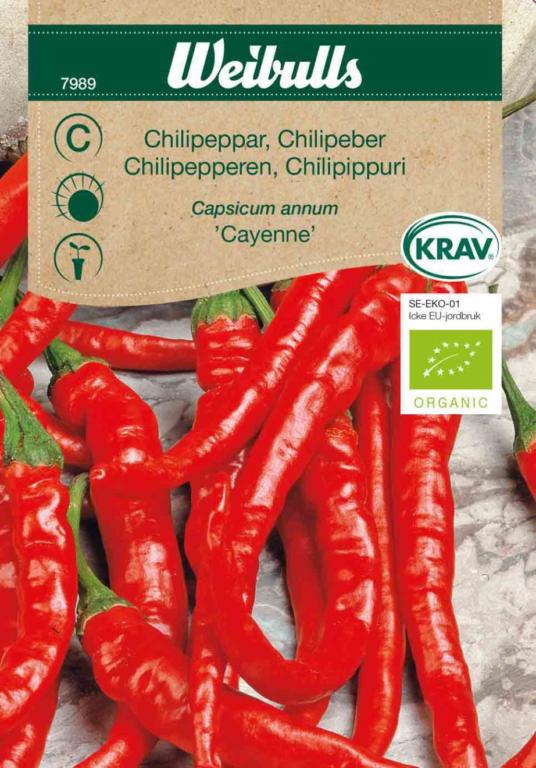 Chilipeber 'Cayenne' ØKO