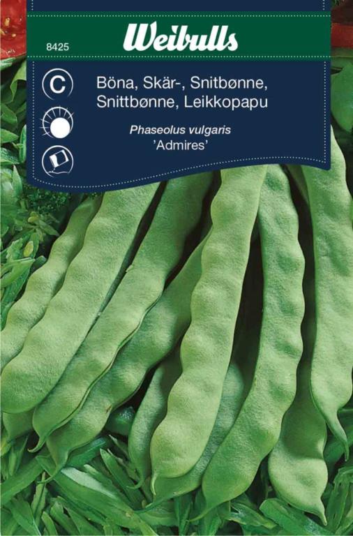 Bønne snitte 'Admires'