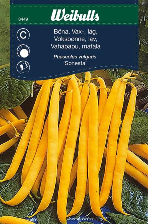 Bønne voks lav 'Sonesta'