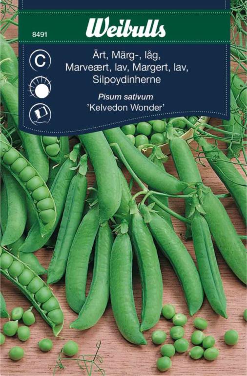 Ært marv lav 'Kelvedon Wonder'