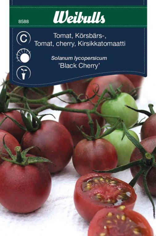 Tomat 'Black Cherry'