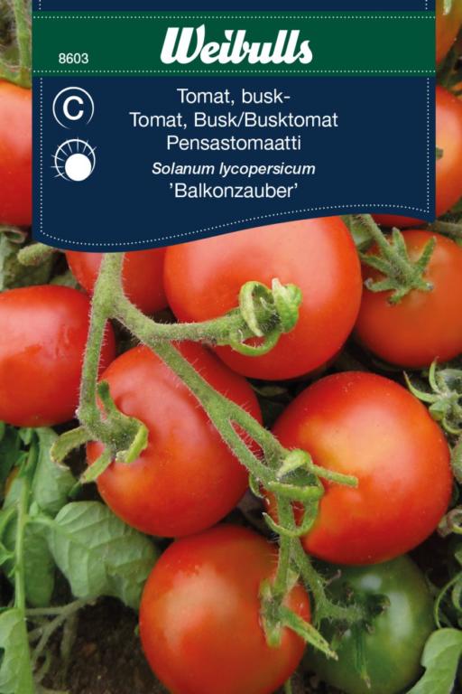 Tomat busk 'Balkonzauber'