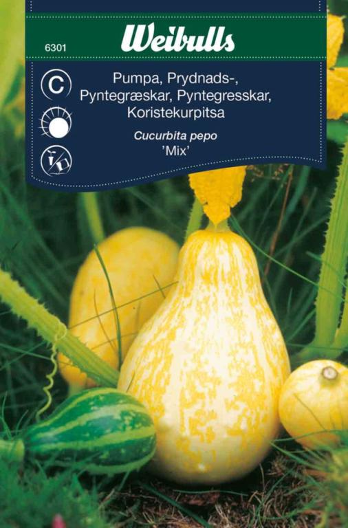 Græskar pyntegræskar 'Mix'