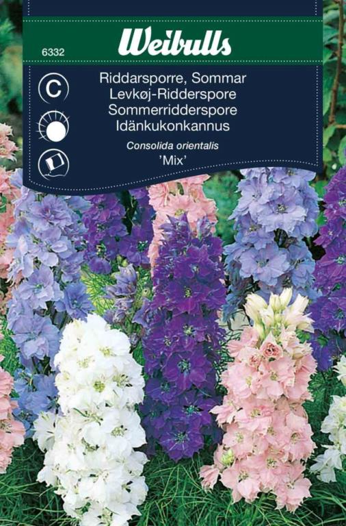 Ridderspore levkøj 'Mix'