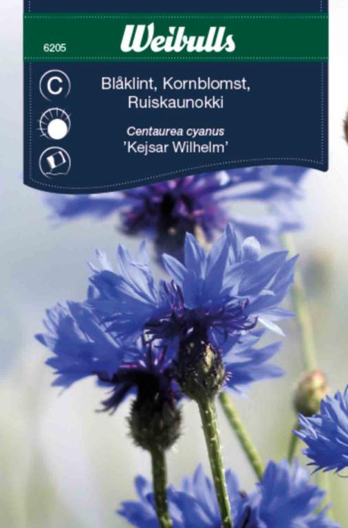 Kornblomst 'Kejsar Wilhelm'