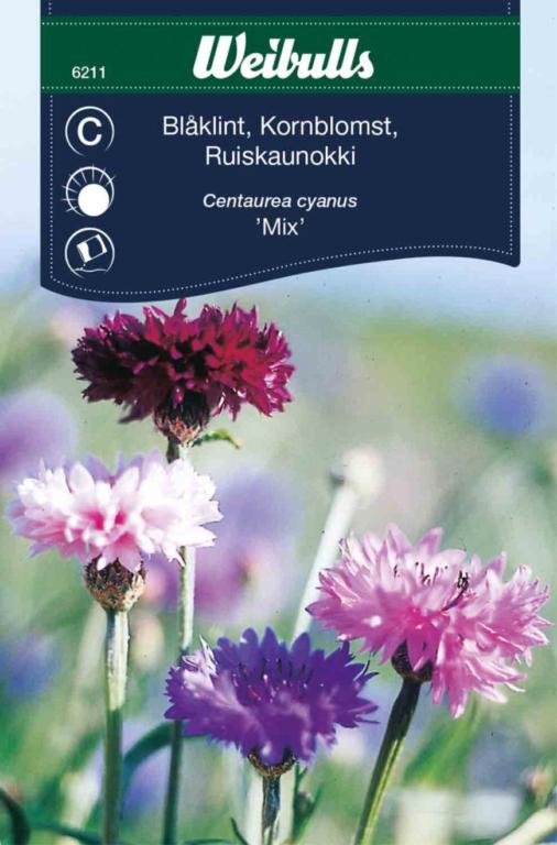 Kornblomst 'Mix'