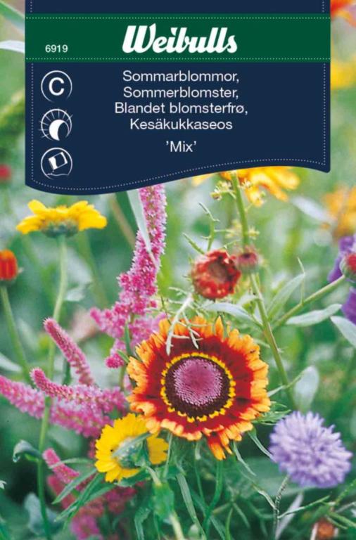 Blandet blomster sommer 'Mix'