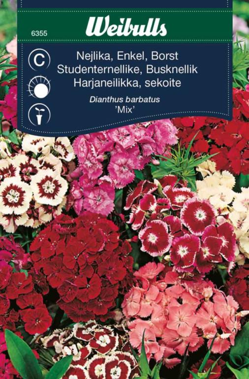 Nellike studenter 'Mix'