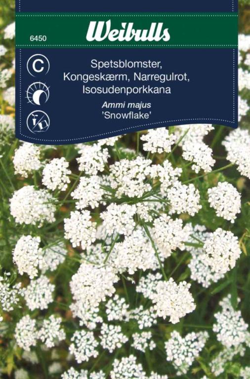 Kongeskærm 'Snowflake'