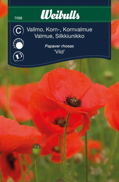 Valmue-korn 'Vild'
