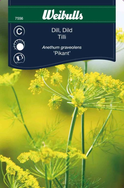 Dild 'Pikant'
