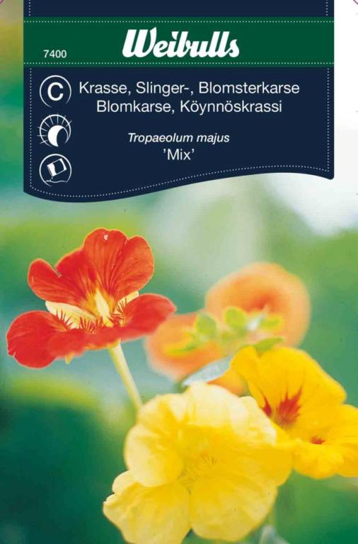 Karse blomsterkarse 'Mix'