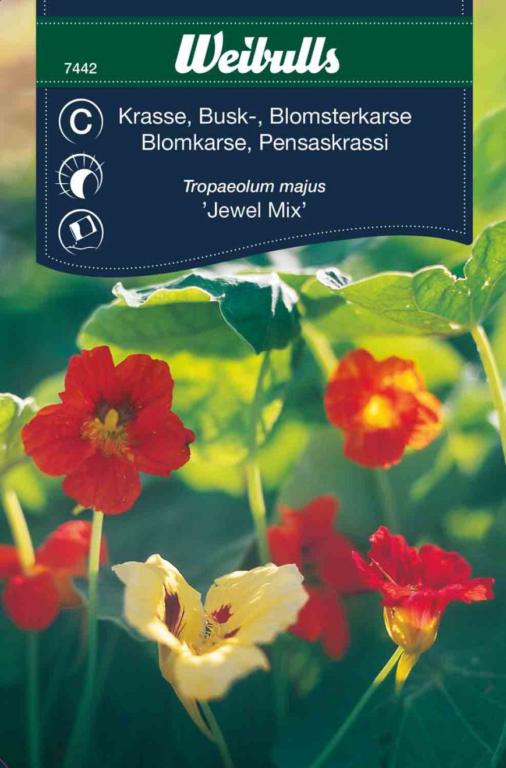 Karse blomsterkarse ' Jewel Mix'