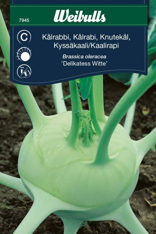 Kålrabi 'deliktess Witte'