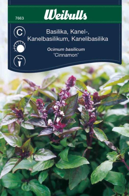 Basilikum kanel 'Cinnamon'