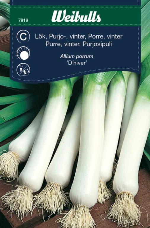 Porre vinter regius 'D´hiver 2'