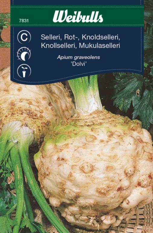 Sellerie rod 'Dolvi'