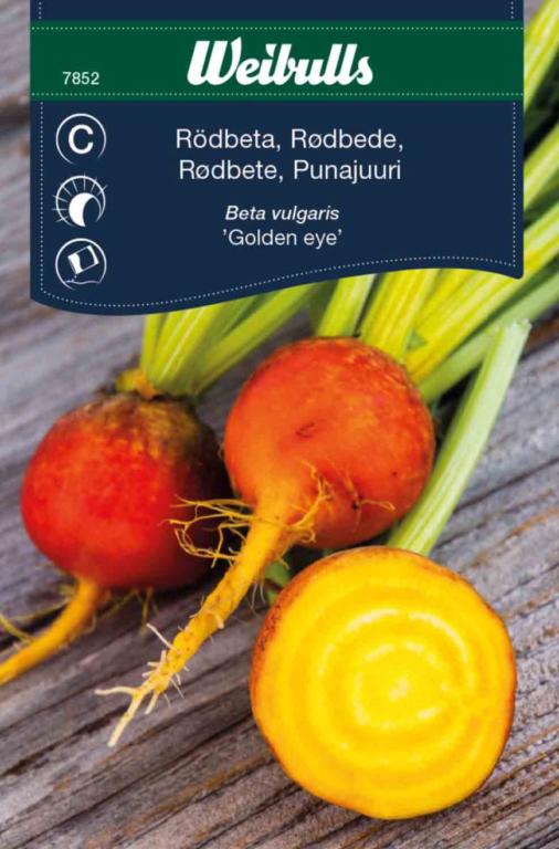 Rødbede 'Golden eye'