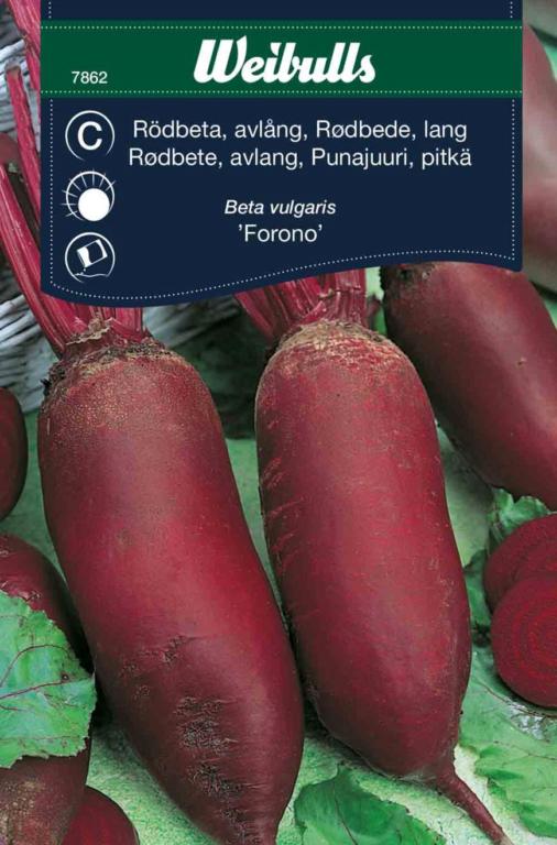 Rødbede lang 'Forono'