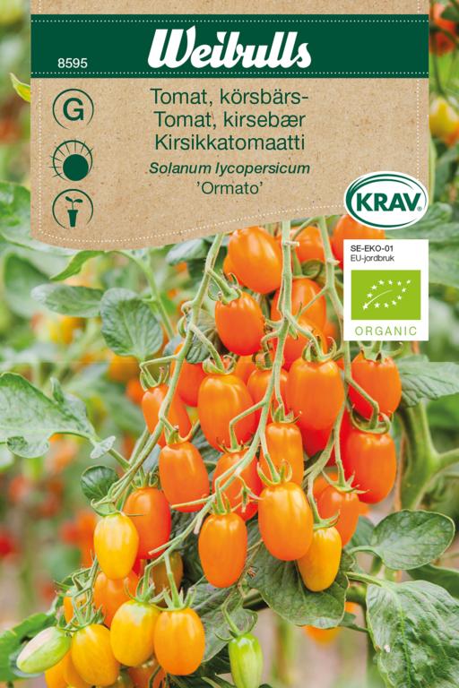 Tomat 'Ormato' ØKO