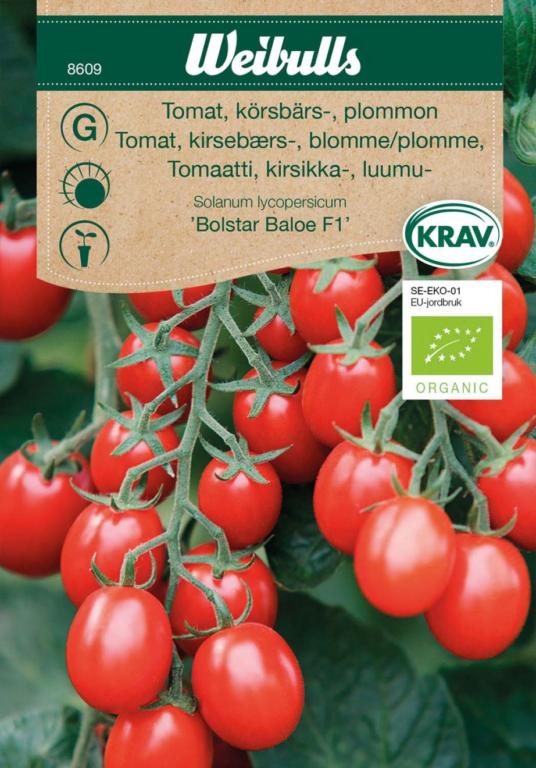 Tomat kirsebærs, 'Bolstar Baloe' F1 ØKO