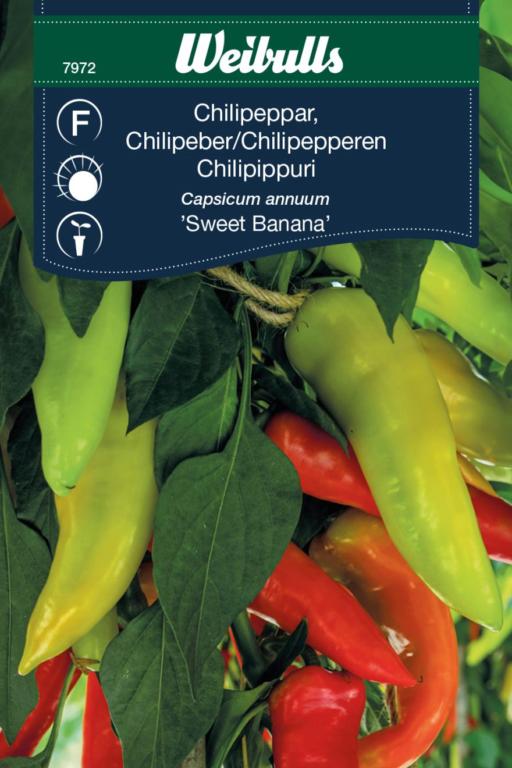 Weibulls Peberfrugt 'Sweet Banana'