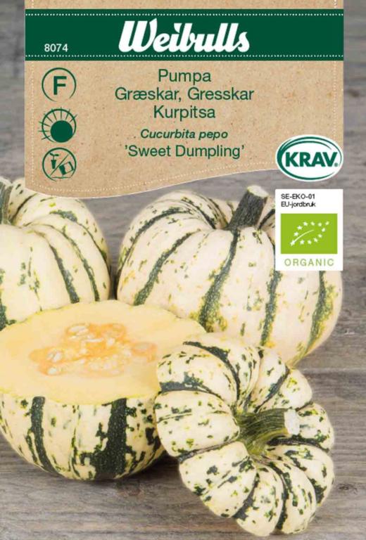 Græskar 'Sweet Dumpling' ØKO
