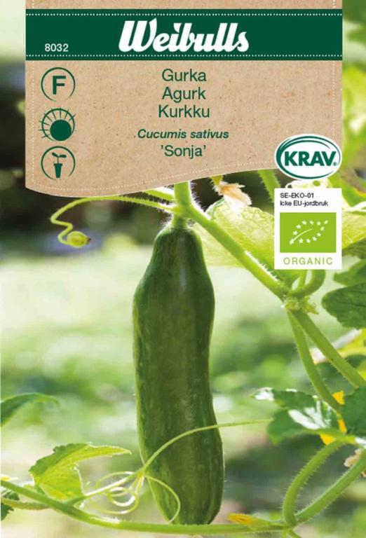 Agurk 'Sonja' ØKO