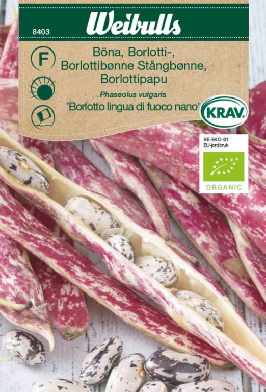 Bønne 'Borlotto lingua di fucco nano ØKO